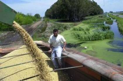 El campo, con más carga tributaria