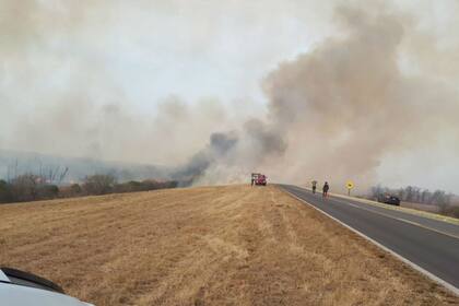 Uno de los campos de la zona que tiene acceso desde la ruta