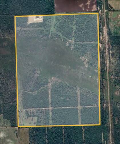 El campo de 179 hectáreas, donde se observan las picadas de limpieza, de alambrados y para que la hacienda salga a la aguada