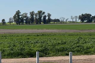 El grupo de Italia que se hizo fuerte en la Argentina con una ingeniosa estrategia productiva