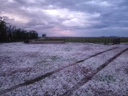 El campo de Rafael Llorente cubierto de granizo