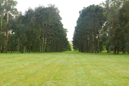 El campo donde se encuentra la hosteria