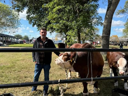 “El campo era chico y pensábamos cómo darle más valor”, recuerda Lucas Pérez sobre el origen de la cabaña Braford familiar