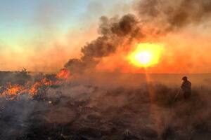 El campo está en Jagüel del Monte, un paraje en el cruce de las rutas 14 y 15, en La Pampa