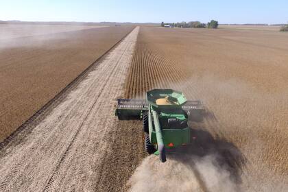 El campo requiere normas claras