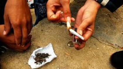 El cannabis es la droga más consumida en el mundo