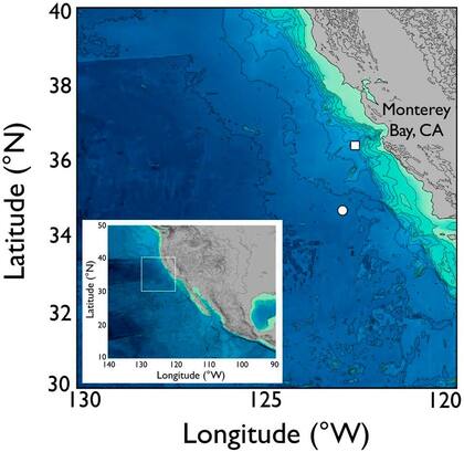 El Cañón de Monterey donde fue avistado el caracol rosa