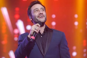 Luciano Pereyra tuvo un accidentado show en Cosquín: “No sé qué pasó”