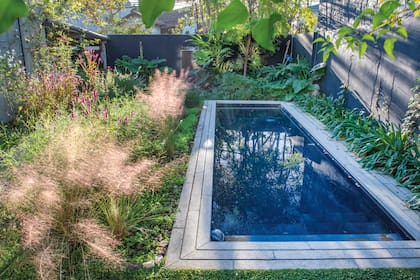 El cantero lateral de la pileta se ensanchó en la segunda etapa, cuando se retiró todo el césped del jardín