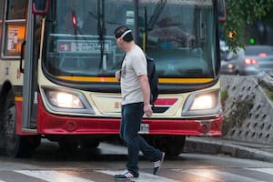 Nueve de cada diez conductores no le da prioridad de paso a los peatones