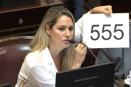 El cartel que Carlina Losada exhibió durante una sesión en el Senado para mostrar la cantidad de muertes que se dieron en Rosario desde agosto de 2022