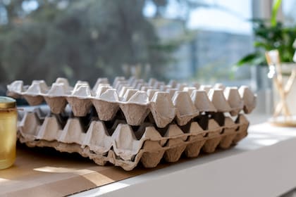 El cartón de los maples, desmenuzado, puede usarse como mulch en los canteros