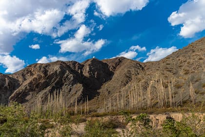 El CASLEO tiene 415 hectáreas propias de área protegida junto al Parque Nacional El Leoncito.