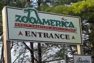 Sus padres se distrajeron con el celular y un niño resultó herido por un lobo en un zoológico