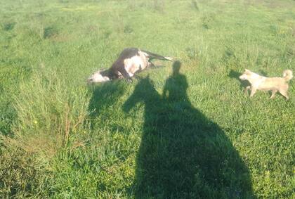 El caso de “Nego” Herrera volvió a poner en evidencia la vulnerabilidad de los productores rurales en las zonas limítrofes y la falta de control efectivo en la frontera