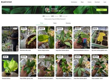 El catálogo de Pettigrew en Palmstreet