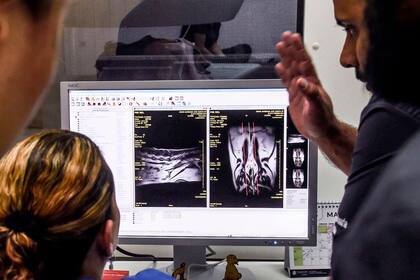 Los veterinarios examinan el resultado de una resonancia magnética que le realizaron a un hurón con problemas de salud