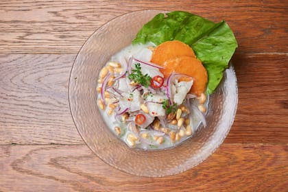 El cebiche de Tanta combina pesca del día con una leche de tigre bien cítrica, hecha con limón, lima, ají limo, apio, jengibre, ajo y cilantro