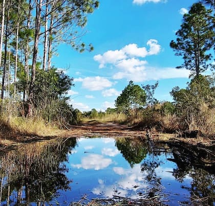 El Cedar Key Scrub State Reserve es un lugar ideal para actividades al aire libre como pesca y estudio de fauna