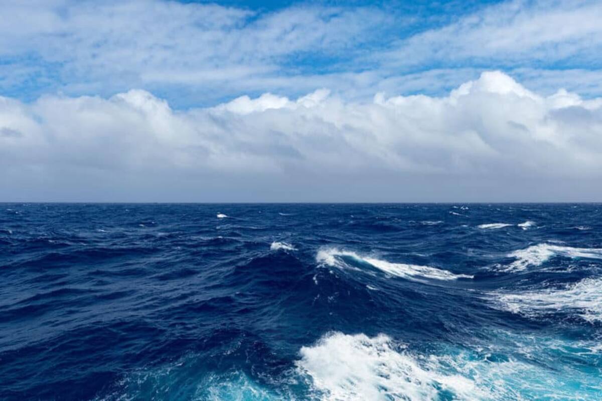 ¿Cómo se dice “celeste” en inglés? - LA NACION