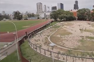 El video que muestra el preocupante estado del Cenard y el plan de la Secretaría para mejorarlo