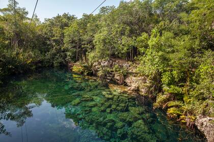 El cenote Xunaan-Ha recubierto de selva: las cuevas se adivinan en los costados profundos de la roca. Hay que avanzar agachado 50 metros hacia llegar a una suerte de claro en el que el agua y la luz de las linternas crean un espacio mágico.