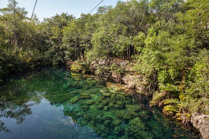 El cenote Xunaan-Ha recubierto de selva: las cuevas se adivinan en los costados profundos de la roca. Hay que avanzar agachado 50 metros hacia llegar a una suerte de claro en el que el agua y la luz de las linternas crean un espacio mágico. 