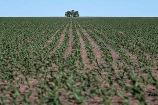 Con foco en reflejar los cambios en el campo, hoy empieza un nuevo censo