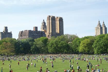 El Central Park puede disfrutarse desde la terraza del Metropolitan Museum, desde donde se tiene una vista impactante con la mezcla de colores y texturas de los árboles que lo pueblan.