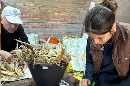 El centro busca vincular la producción con la investigación académica