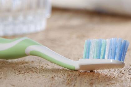 El cepillo de dientes puede tener cientos de miles de microorganismos