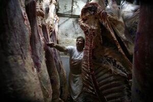 Pese al cepo a la exportación, el consumo de carne cayó un 6,5%