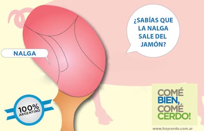 El cerdo tiene anatómicamente los mismos cortes que el vacuno en la pata trasera conocida como jamón y uno de ellos es la nalga