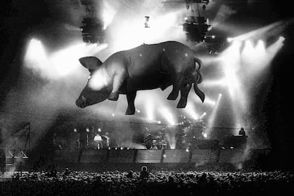 El cerdo volador durante un concierto de Pink Floyd en Holanda, 1989