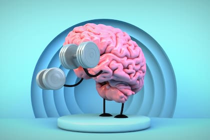 El cerebro consume el 25% del oxígeno que ingresa en el cuerpo