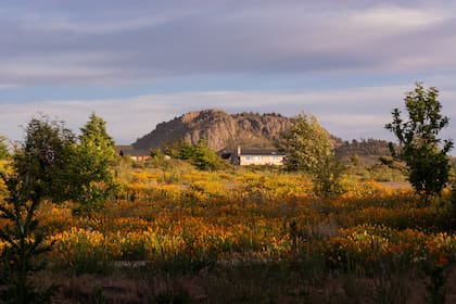 El Cerro Leones en Dina Huapi