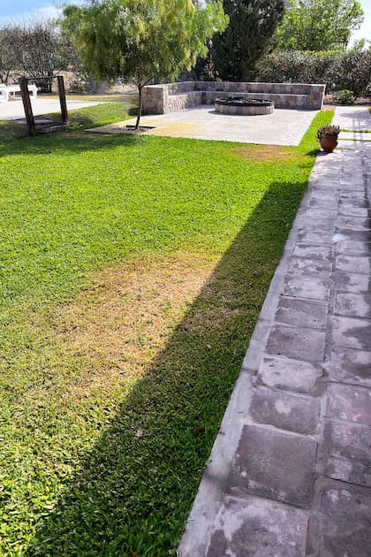 El césped amarillo es un síntoma que hay que atender antes de que sea tarde.