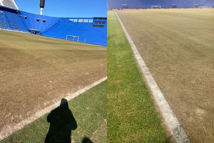 El césped del estadio José Amalfitani no está en las mejores condiciones