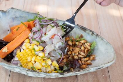 El Ceviche Wasabi, con lenguado, leche de tigre infusionada en wasabi