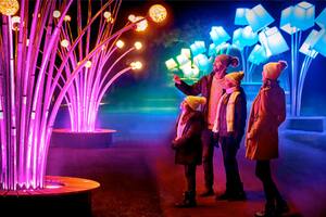 El Chicago Botanic Garden forma parte de las atracciones festivas de la ciudad (Archivo)