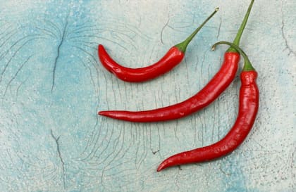 El chile tiene una tradición arraigada a la gastronomía mexicana
