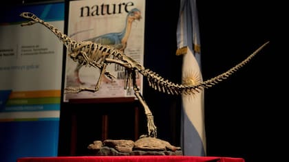 El Chilesaurus hallado en 2004