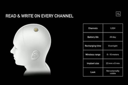 El chip que está desarrollando Neuralink para leer la actividad de las neuronas gracias a unos filamentos insertados en el cerebro, y eventualmente generar órdenes artificiales que el cerebro tome como propias