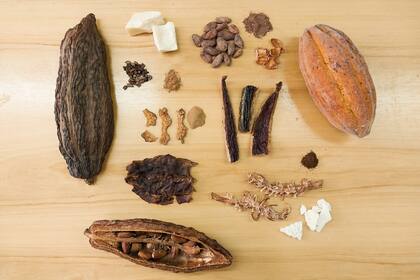 El chocolate se deriva del cacao, una planta de origen latinoamericano que se extendió por todo el mundo