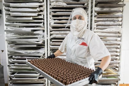 El chocolate, ya tostado, se usa para elaborar barras, tabletas, bombones, trufas y decenas de otros productos.