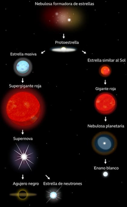 El ciclo de vida de las estrellas