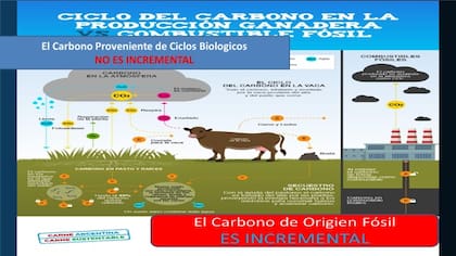 El ciclo del carbono en la producción ganadera