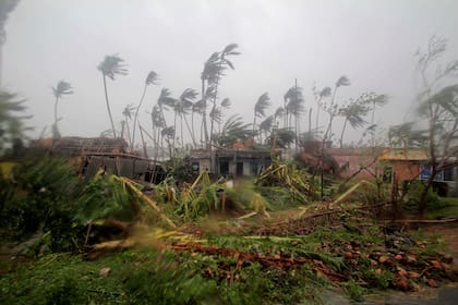 Casa destruidas y árboles caídos a lo largo de una carretera en el distrito de Puri