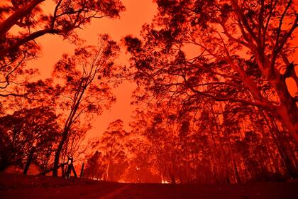 El cielo de la tarde se pone rojo por los incendios forestales en el área alrededor de la ciudad de Nowra en el estado australiano de Nueva Gales del Sur el 31 de diciembre de 2019. Miles de turistas y locales se vieron obligados a huir a las playas en el sureste de Australia.
