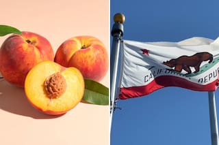 Se perdieron más de US$550 millones en una industria que empleaba cientos de inmigrantes